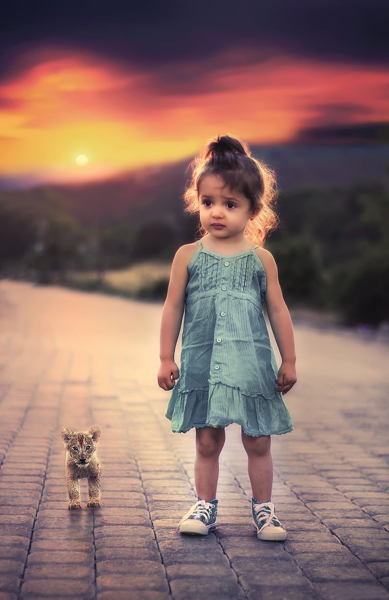 Bohemian Chic Dress